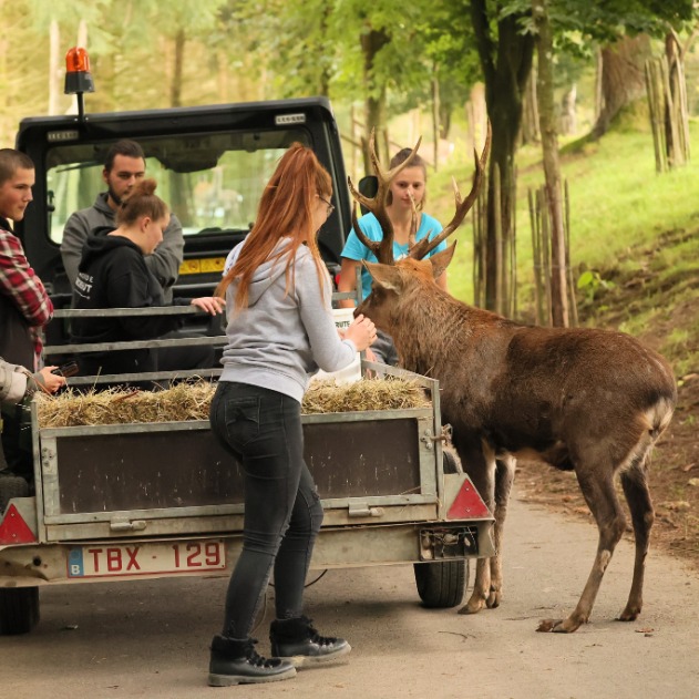 Dierenpark van Rochehaut en Angus Beef-boerderij