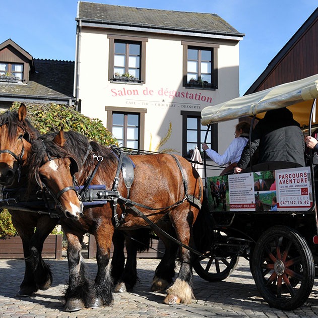 Balade en calèche et nourrissage des chevaux de trait ardennais